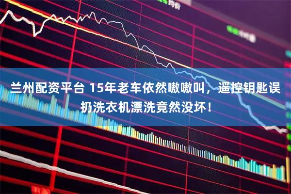 兰州配资平台 15年老车依然嗷嗷叫,遥控钥匙误扔洗衣机漂洗竟然没坏!